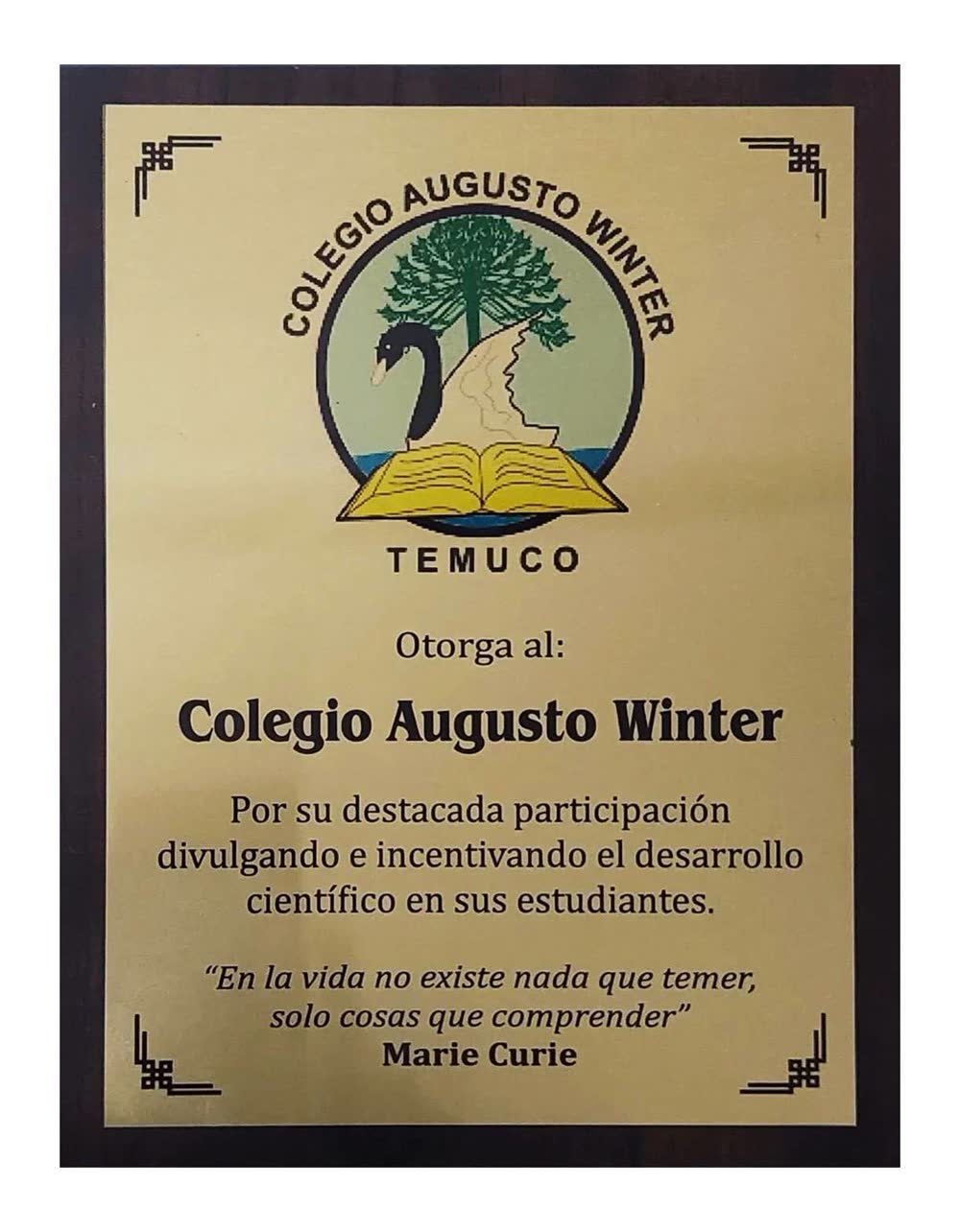 Placa